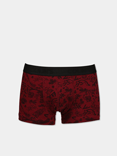 صورة من  للرجال ملابس داخلية