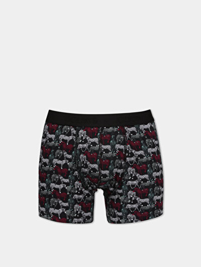 صورة من متعدد الألوان للرجال ملابس داخلية