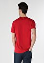 thumb-اعرض التفاصيل لـ   رقبة مستديرة مستقيم رجالي أحمر كم قصير تي شيرت
