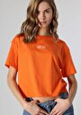 thumb-اعرض التفاصيل لـ برتقالي للنساء تي شيرت بأكمام قصيرة